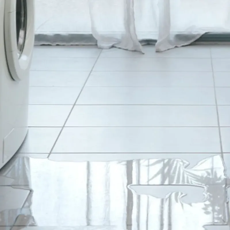 Appliance Leak Cleanup in Lipscomb County, TX