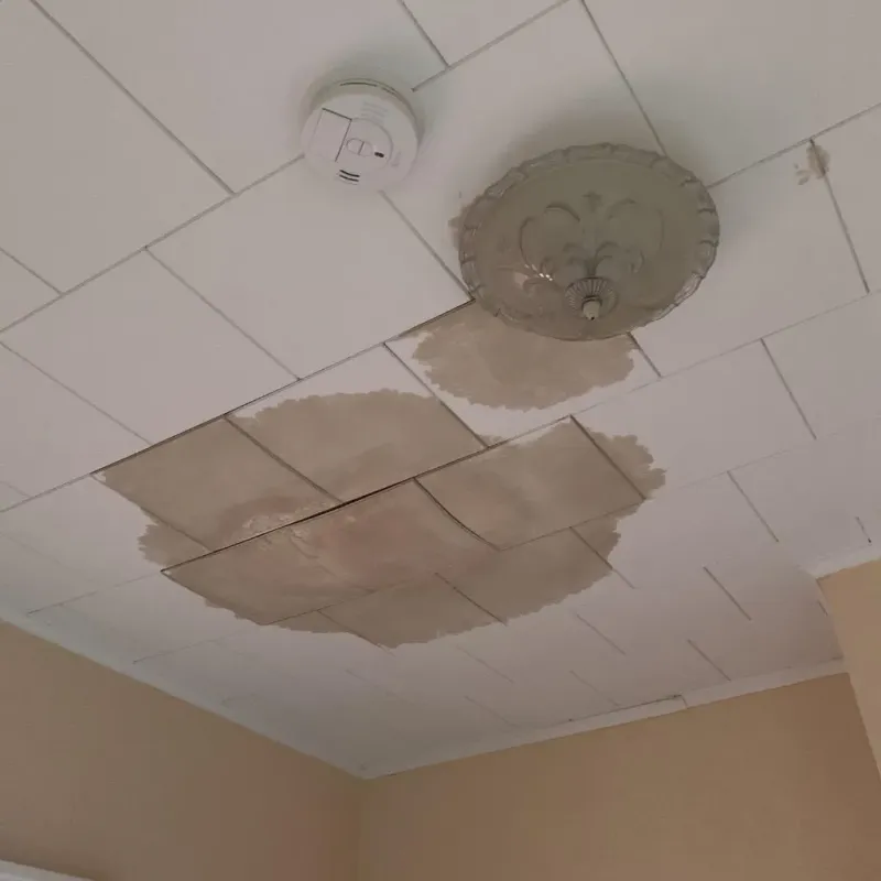 Ceiling Water Damage Repair in Lipscomb County, TX