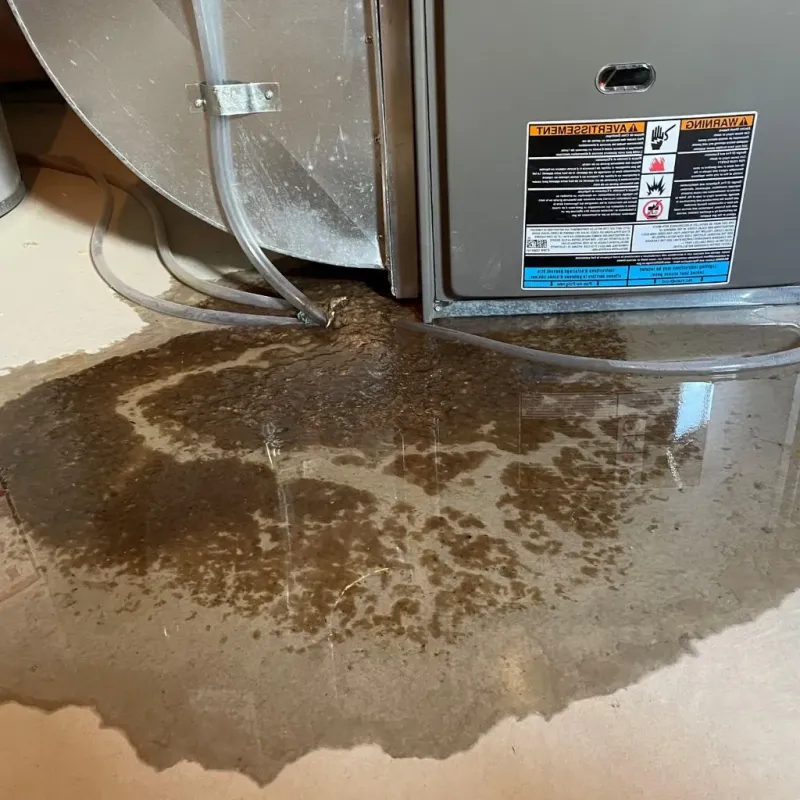 Pipe Burst and Leak Restoration in Lipscomb County, TX