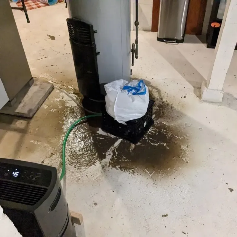 Sewage Backup Cleanup Service in Lipscomb County, TX